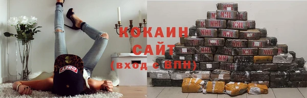 a pvp Алзамай