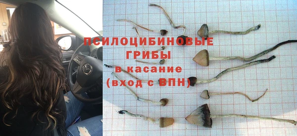 дмт Алексеевка