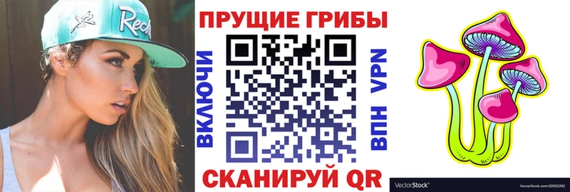 Галлюциногенные грибы Psilocybe  blacksprut онион  Славск  наркотики 